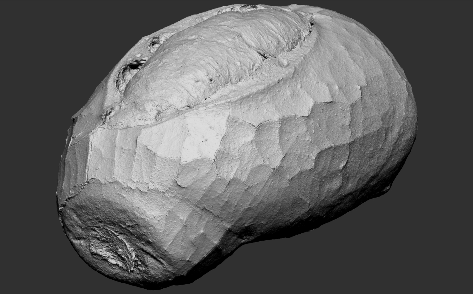 Malha em alta resolução - Scanner 3D de um pão francês